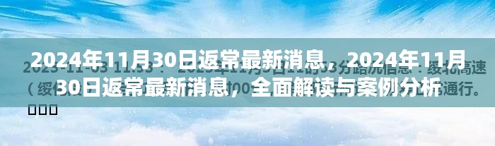 关于返常的最新消息,深度解读与案例分析(2024年11月30日更新)