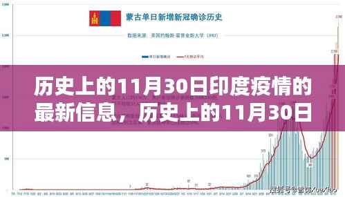 深度解析,历史上的11月30日印度疫情最新信息回顾与解析