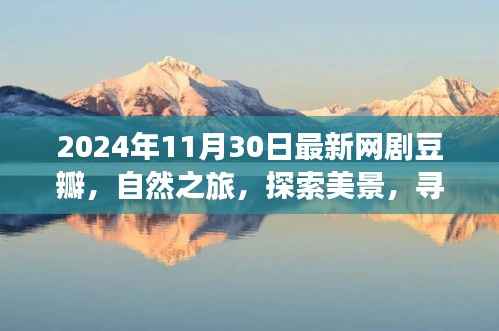 2024年最新网剧豆瓣之旅,自然探索与内心宁静的寻找