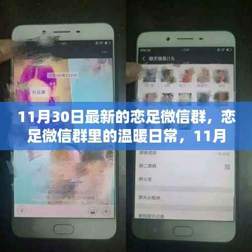 恋足微信群里的欢乐时光,11月30日的温暖日常
