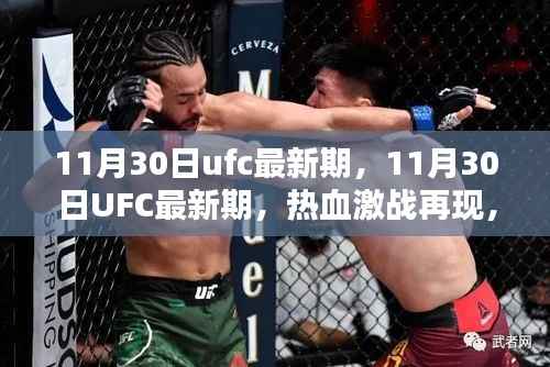 热血激战再现!UFC最新期决战之夜,谁将成为新王者?