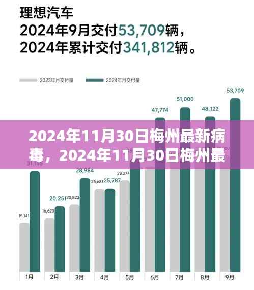 2024年11月30日梅州最新病毒深度解析报告