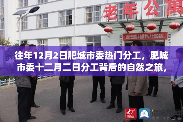 肥城市委十二月二日分工背后的自然之旅,心灵宁静港湾探寻记