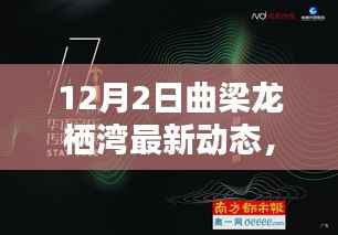 曲梁龙栖湾最新动态报道,探寻冬日新篇章(12月更新)
