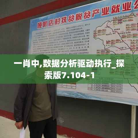 一肖中,数据分析驱动执行_探索版7.104-1