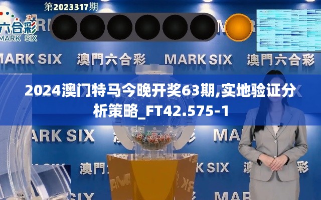 2024澳门特马今晚开奖63期,实地验证分析策略_FT42.575-1