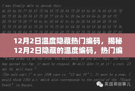 揭秘热门编程语言中的温度编码,揭秘秘密武器与隐藏编码的奥秘(12月2日)