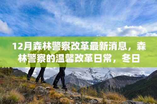 森林警察改革最新动态,冬日守护与成长故事揭秘