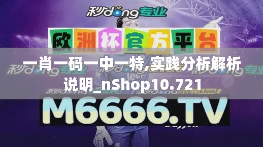 一肖一码一中一特,实践分析解析说明_nShop10.721