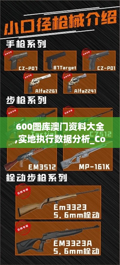 600图库澳门资料大全,实地执行数据分析_Console4.188