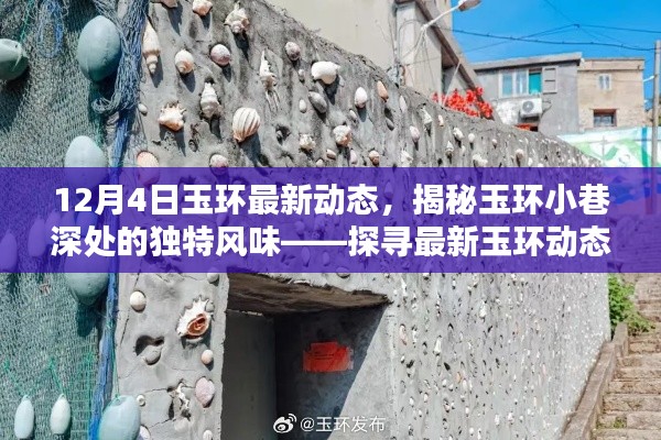 玉环最新动态揭秘,小巷深处的独特风味——探寻隐藏瑰宝的旅程