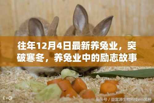 励志养兔业,突破寒冬,自信成就未来之路