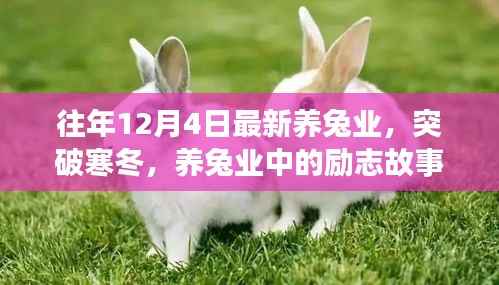 励志养兔业,突破寒冬,自信成就未来之路