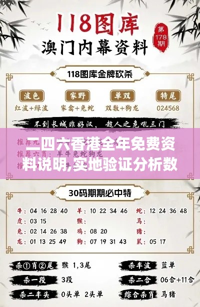 二四六香港全年免费资料说明,实地验证分析数据_领航版8.392