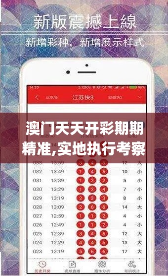 澳门天天开彩期期精准,实地执行考察数据_2D10.491