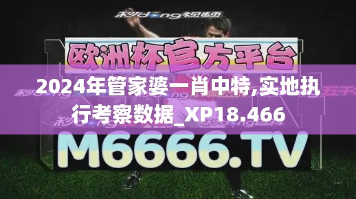 2024年管家婆一肖中特,实地执行考察数据_XP18.466