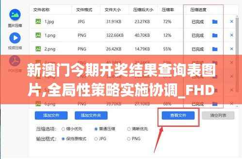 新澳门今期开奖结果查询表图片,全局性策略实施协调_FHD版1.244