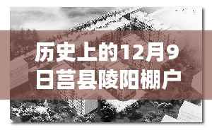 莒县陵阳棚户区改造最新进展,历史与美食交织的小巷特色小店揭秘