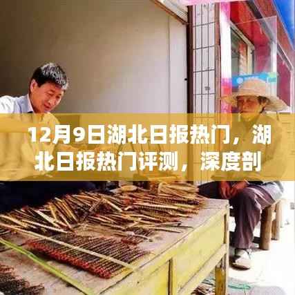 深度解析,湖北日报APP的独特魅力与挑战——来自湖北日报热门评测的视角