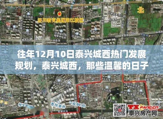 泰兴城西发展规划回顾与共同记忆的温馨日子