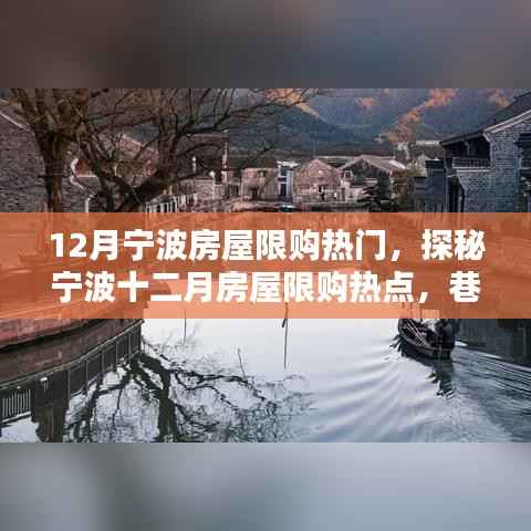 宁波十二月房屋限购热点揭秘,巷弄深处的独特小店成热门话题