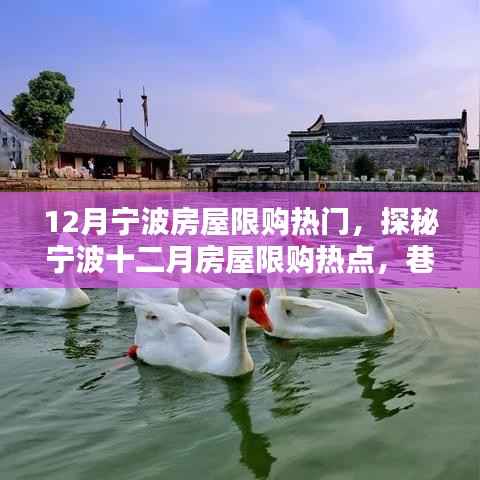 宁波十二月房屋限购热点揭秘,巷弄深处的独特小店成热门话题