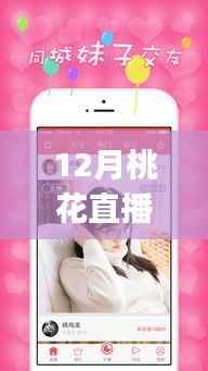 12月桃花直播App热门版本详解与使用指南，从新手到进阶的全程指导