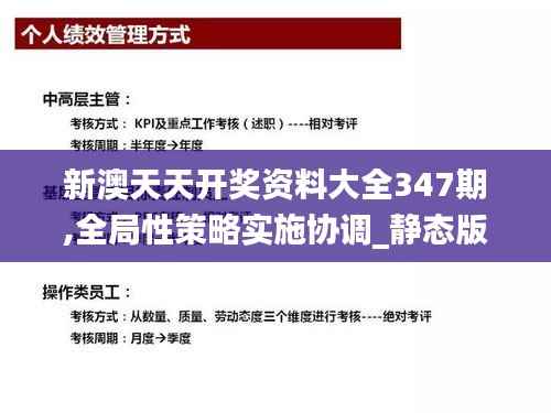 新澳天天开奖资料大全347期,全局性策略实施协调_静态版9.966
