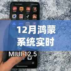 十二月鸿蒙系统实时推送文件功能详解