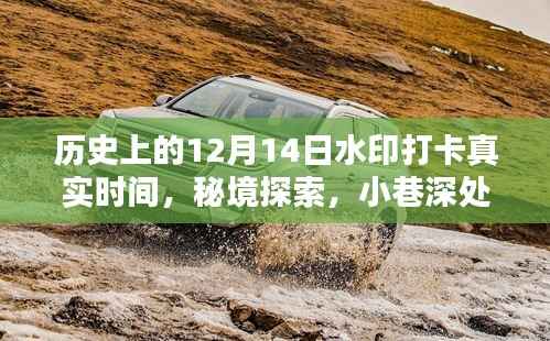 揭秘历史神秘打卡时刻,秘境探索与小巷深处的特色小店在12月14日的真实水印打卡之旅