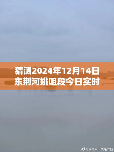 揭秘东荆河姚咀段未来水位动态,预测2024年实时水位动态报告出炉!