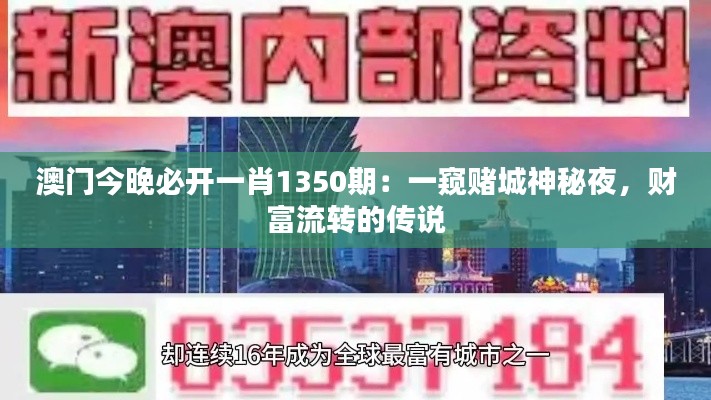 澳门今晚必开一肖1350期:一窥赌城神秘夜,财富流转的传说