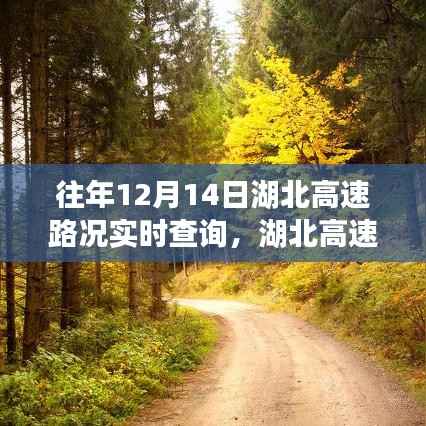 湖北高速暖心故事,共度时光的高速路况实时查询之路
