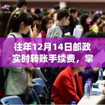 往年12月14日邮政实时转账手续费变化背后的励志故事与掌握变化的重要性