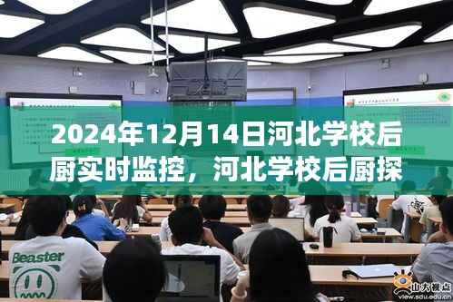 河北学校后厨探秘,美食与自然美景中的心灵之旅,实时监控展现食堂背后的秘密