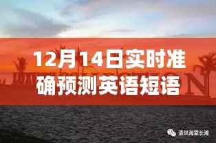 英语短语实时预测,启程寻找内心平静与自然美景的魔法之旅