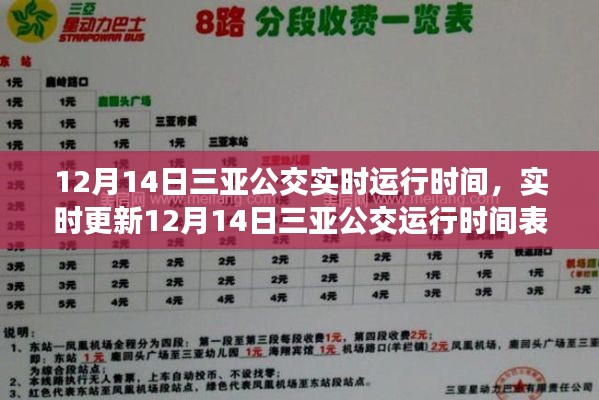 12月14日三亚公交实时运行时间表,轻松畅游三亚的必备指南