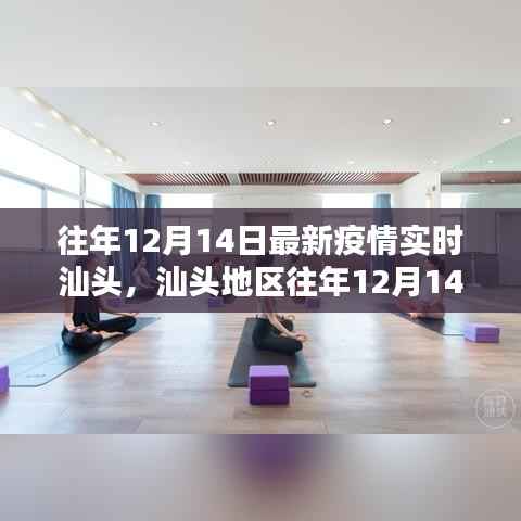 汕头地区往年12月14日最新疫情防控指南,实时动态与实用建议供初学者与进阶用户参考