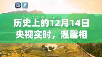 央视直播日下的暖心故事,历史上的那些温馨时刻——12月14日回顾