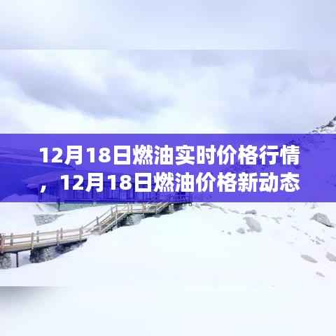 12月18日燃油价格行情及新动态,驶向自然美景的心灵之旅