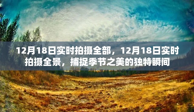12月18日实时拍摄,全景捕捉季节之美的独特瞬间