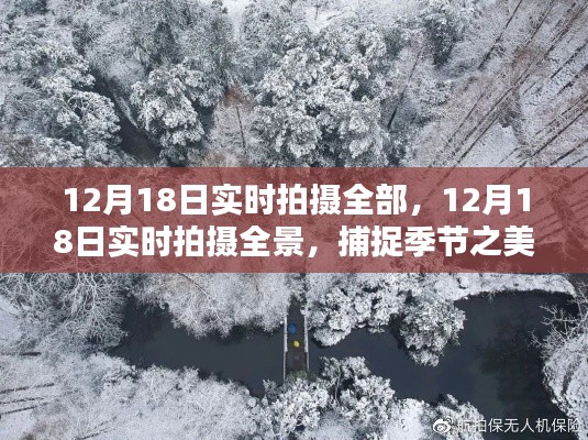 12月18日实时拍摄,全景捕捉季节之美的独特瞬间