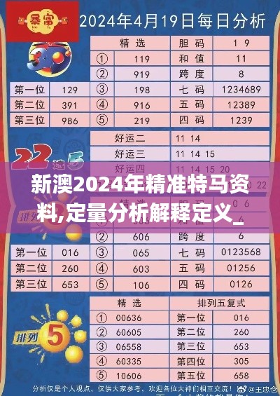 新澳2024年精准特马资料,定量分析解释定义_DX版16.506