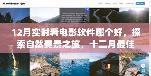 探索十二月最佳电影软件,带你领略自然美景,发现内心的宁静与喜悦的旅程
