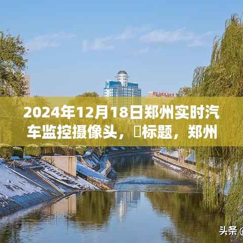 郑州汽车监控之旅,探寻自然微笑与内心宁静的2024年12月18日纪实