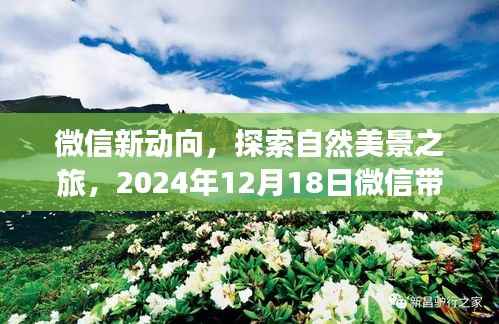 微信新动向揭秘,实时定位,探索心灵宁静的自然美景之旅(2024年12月18日)