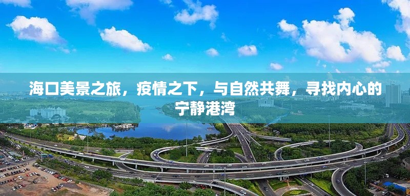 疫情下的海口心灵之旅,与自然共舞,探寻宁静港湾