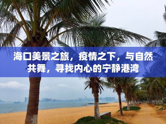 疫情下的海口心灵之旅,与自然共舞,探寻宁静港湾