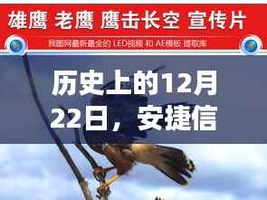 安捷信鸽飞翔,励志故事照亮历史时刻,点燃希望之光