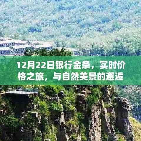 12月22日银行金条实时价格探索,金融与自然美景的交融之旅